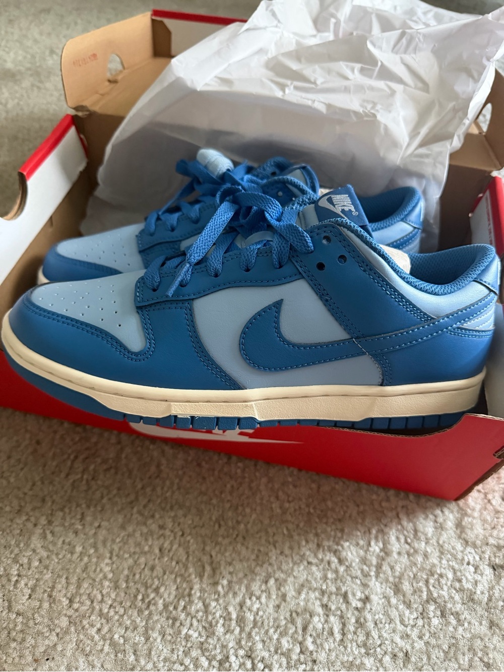 Nike Men’s Sz 8 Dunk Low Sneakers